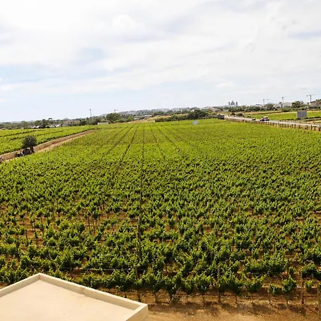 Cozy Family With Pool & Vineyard Views In * Marsaxlokk