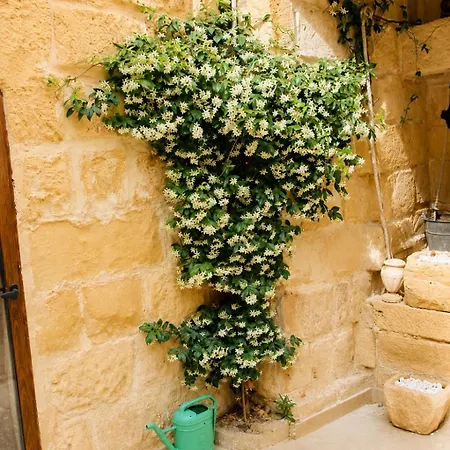 Séjour chez l'habitant Cozy Family With Pool & Vineyard Views In